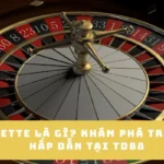 roulette-la-gi-kham-pha-tro-choi-hap-dan-tai-td88_37_11zon